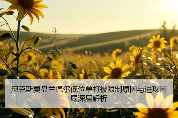 尼克斯复盘兰德尔低位单打被限制原因与进攻困局深层解析